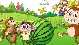 猴子吃瓜动画,一场欢乐的夏日食瓜盛宴
