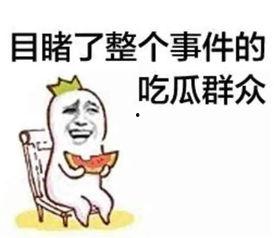 画饼吃瓜摸鱼甩锅视频,揭秘网络短视频背后的生活态度